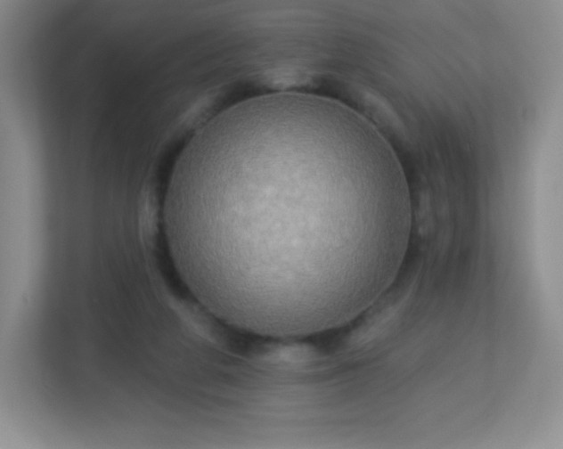 X0000113050210200909031338