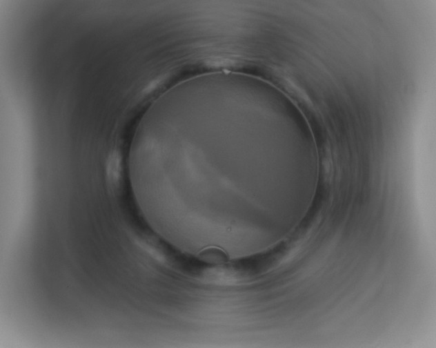 X0000113050211200909031338