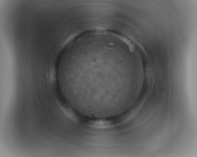 X0000113050212200909031338