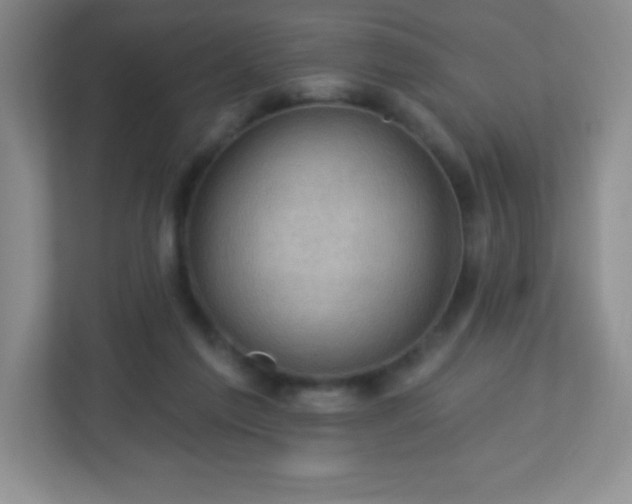 X0000113050213200909031338