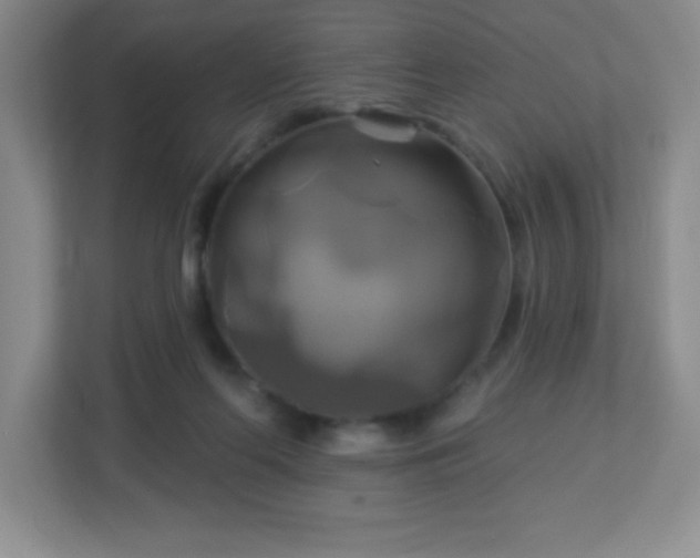 X0000113050214200909031338