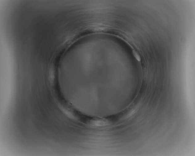 X0000113050215200909031338