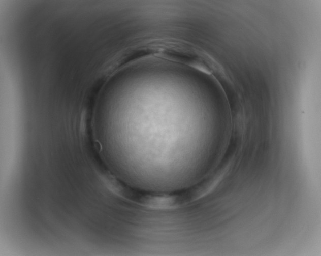 X0000113050217200909031338