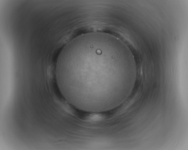 X0000113050218200909031338