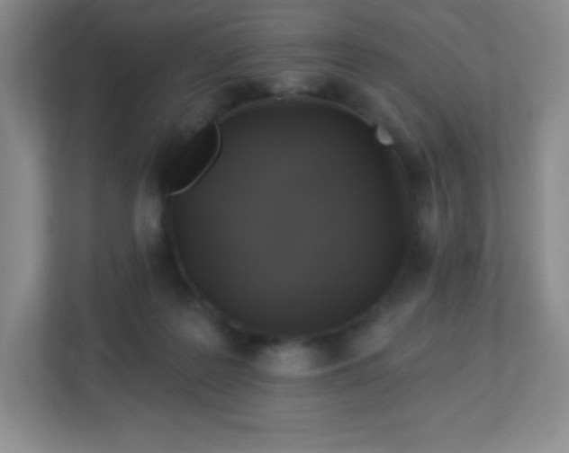 X0000113050219200909031338