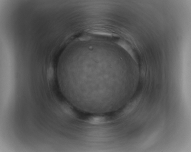 X0000113050220200909031338