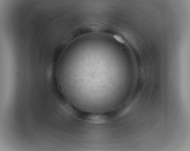 X0000113050221200909031338