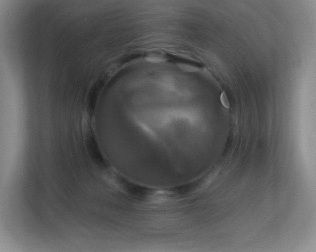 X0000113050222200909031338