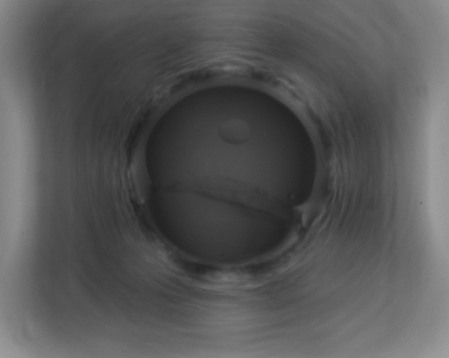 X0000113050223200909031338