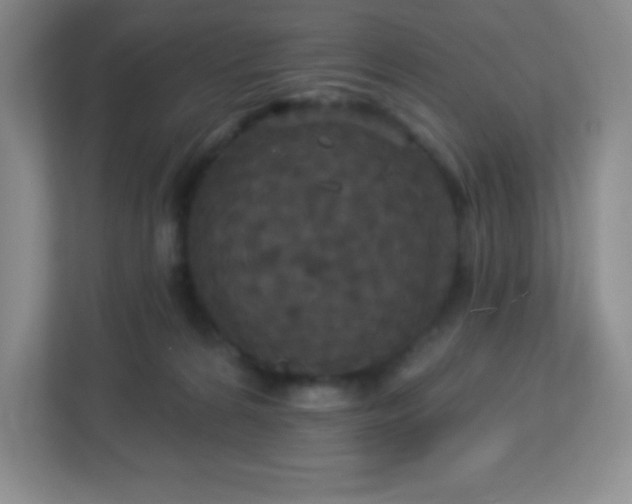 X0000113050224200909031338