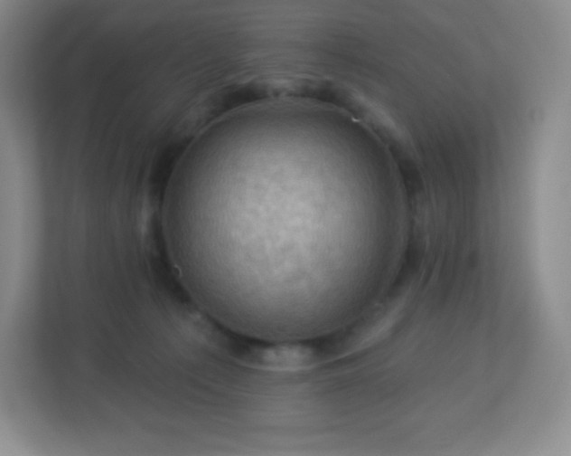 X0000113050225200909031338