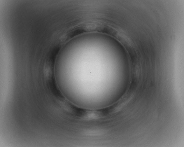 X0000113050226200909031338