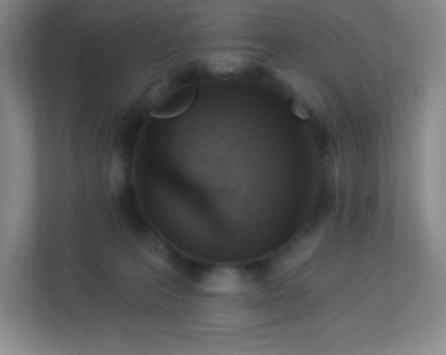 X0000113050227200909031338