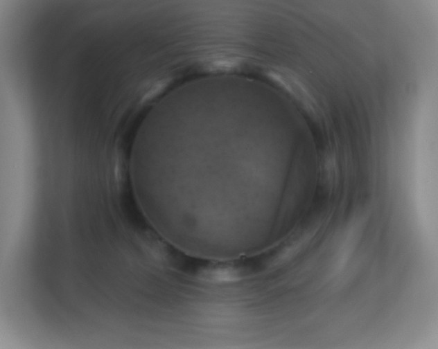 X0000113050228200909031338