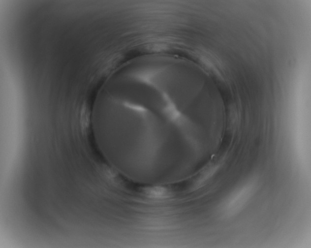 X0000113050230200909031338