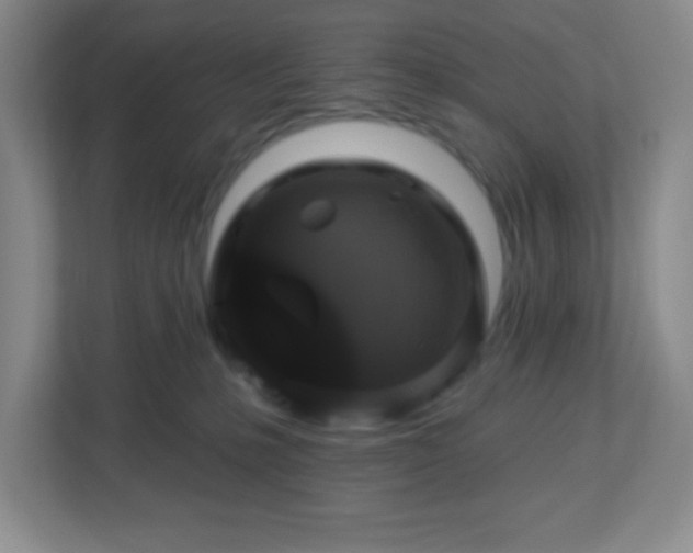 X0000113050231200909031338