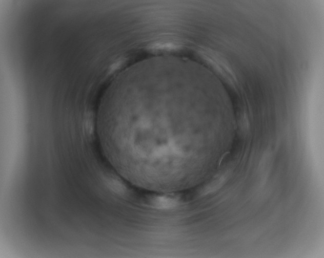 X0000113050232200909031338