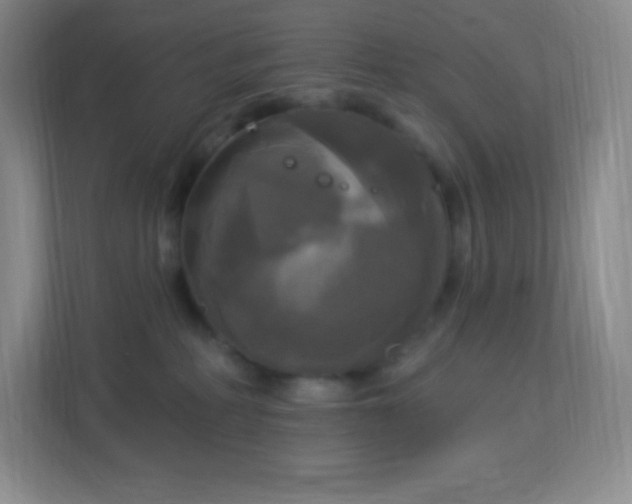 X0000113050234200909031338