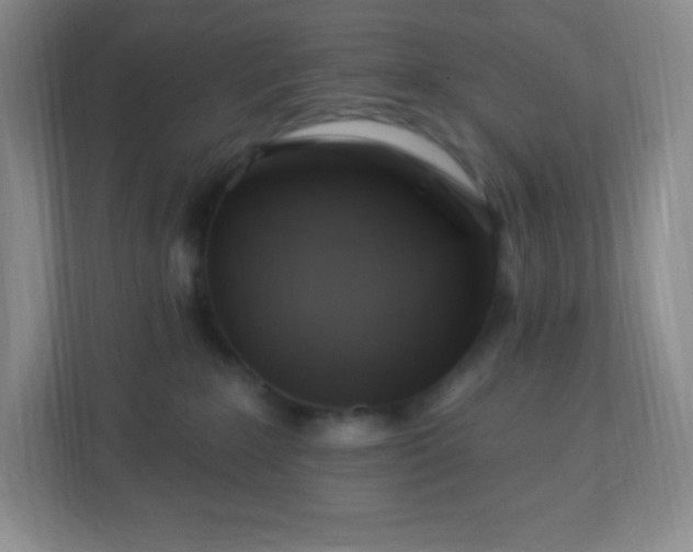 X0000113050235200909031338