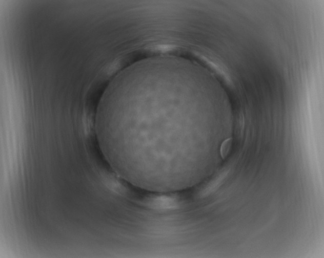 X0000113050236200909031338