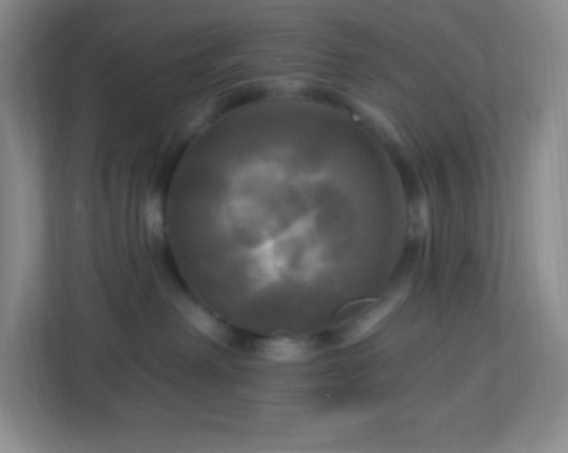 X0000113050238200909031338