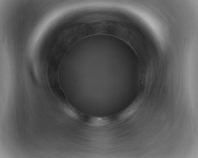 X0000113050239200909031338