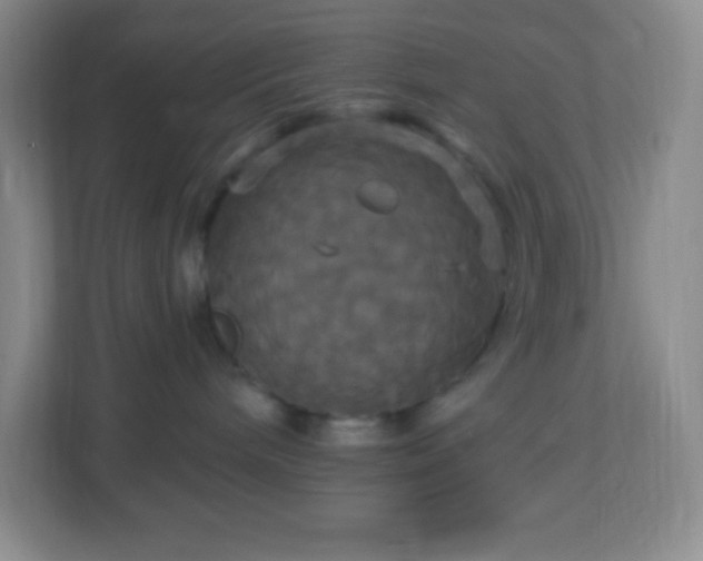 X0000113050240200909031338