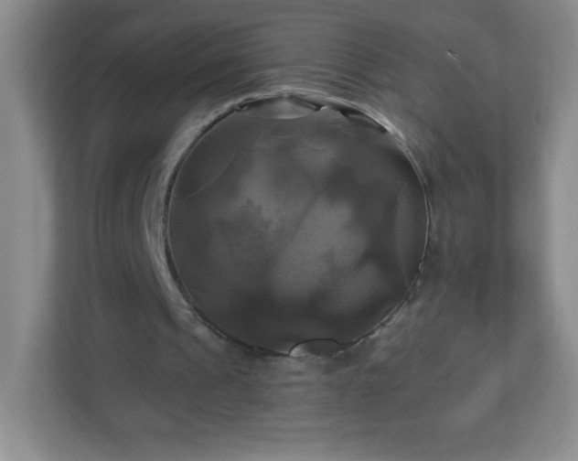 X0000113050241200909031337