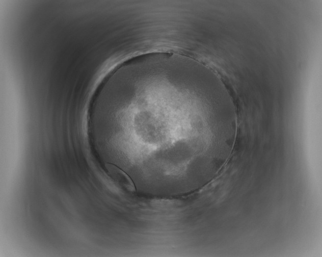 X0000113050242200909031337