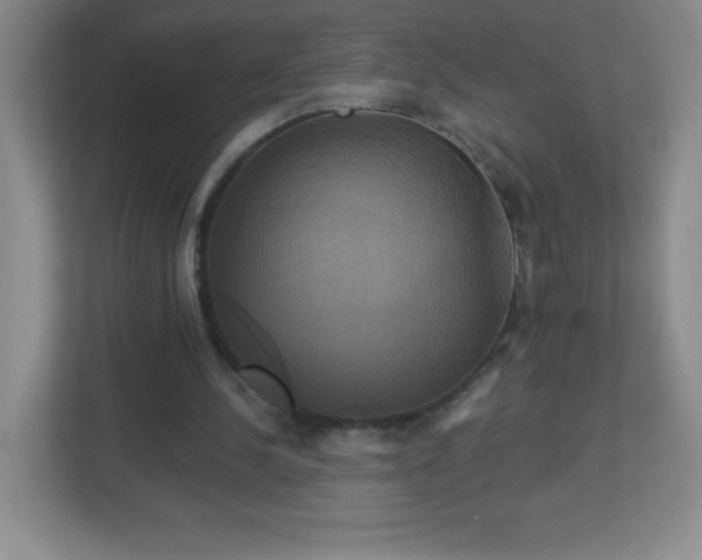 X0000113050244200909031337