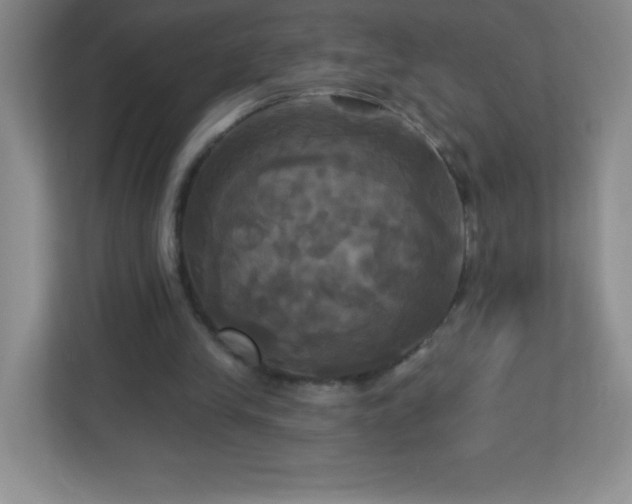 X0000113050245200909031337