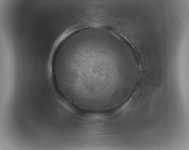 X0000113050246200909031337