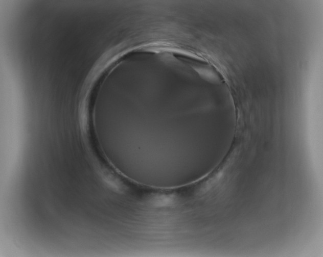 X0000113050247200909031337