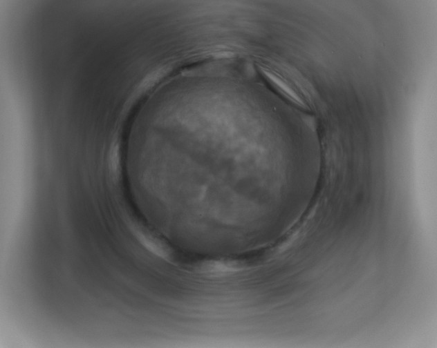 X0000113050250200909031337