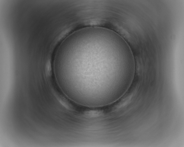 X0000113050251200909031337