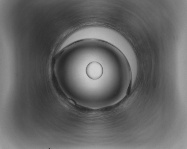 X0000113050252200909031337