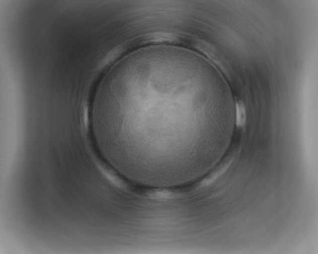 X0000113050253200909031337