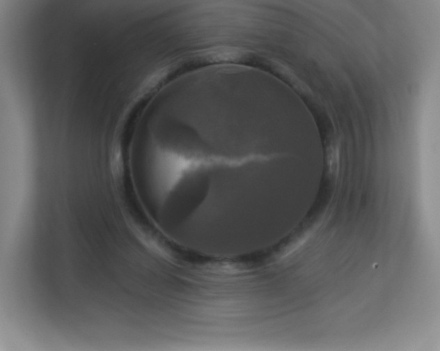 X0000113050254200909031337