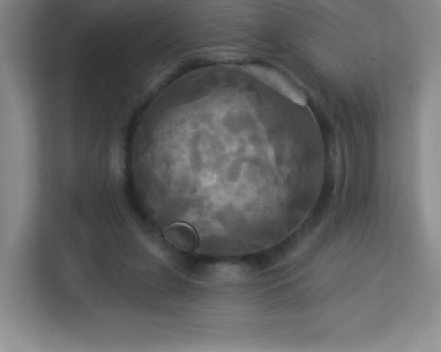 X0000113050255200909031337