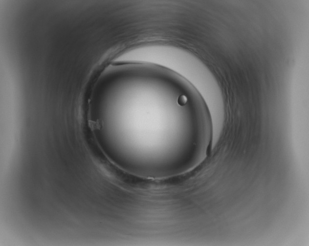 X0000113050256200909031337