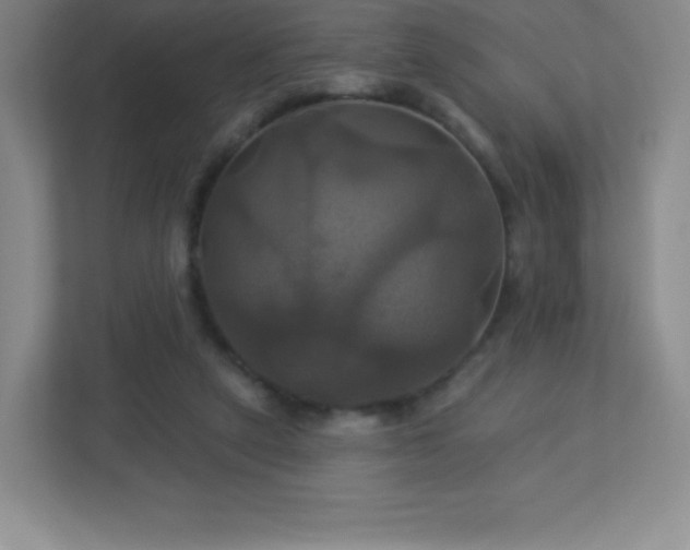 X0000113050257200909031337