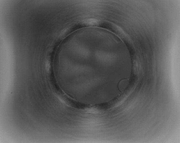 X0000113050259200909031337