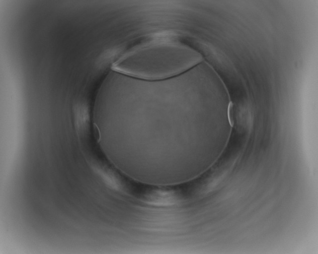 X0000113050260200909031337