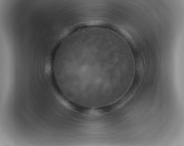 X0000113050261200909031338