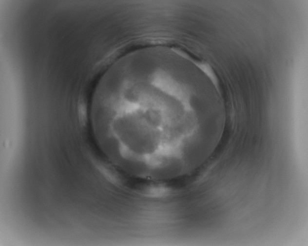 X0000113050262200909031338