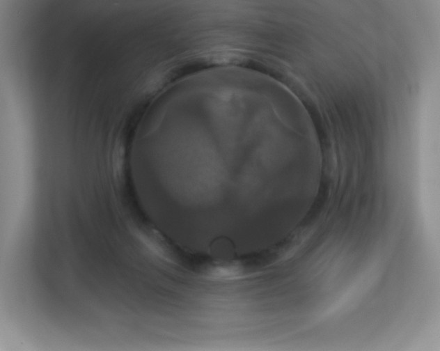 X0000113050263200909031338