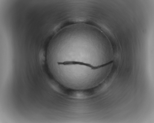 X0000113050264200909031338