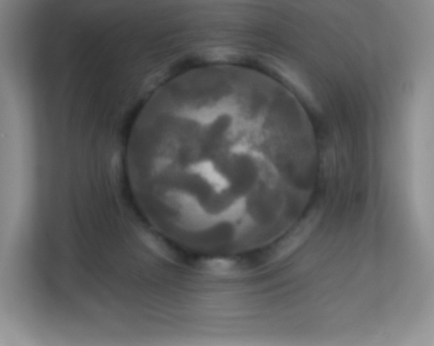 X0000113050265200909031338