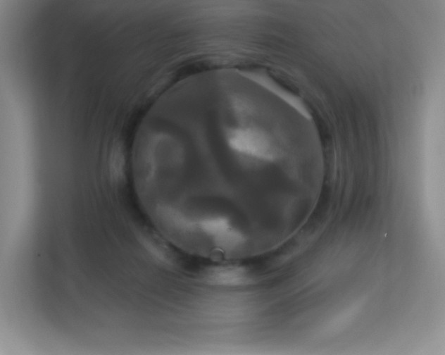 X0000113050266200909031338