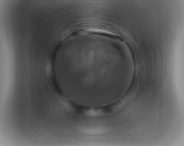 X0000113050270200909031338